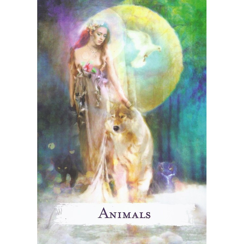 Zaubersprüche Orakelkarten - Barbara Meiklejohn-Fee & Flavia Kate Peters (UK)