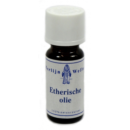 Gember etherische olie (10ml)