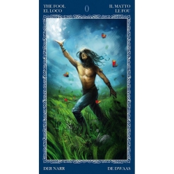 The Book of Shadows tarot VOLUME 1 - Barbara Moore 2