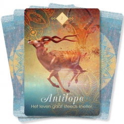 Boodschappen van de Dieren - Coletta Baron Reid 2