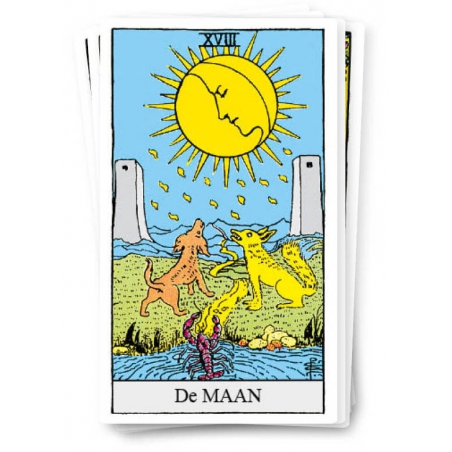 Tarot de Rider Waite - Format petite (NL)