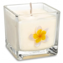 Scented candle Nag Champa (ecological)