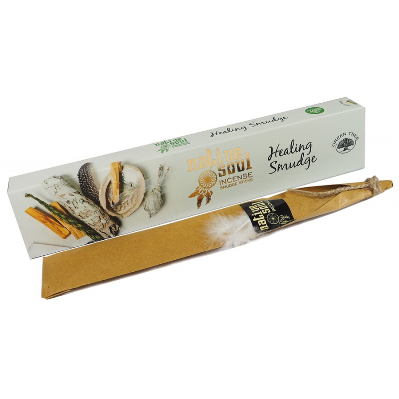 Tache de guérison (Native Soul)