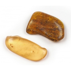 Amber tumbled stone 15-20mm