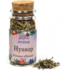 Hyssop incense herb