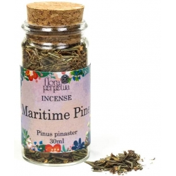 Maritime Pine incense herb