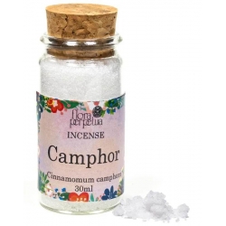 Camphor incense herb