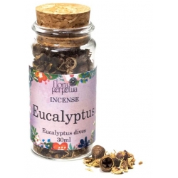 Eucalyptus incense herb