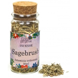 Sagebrush incense herb