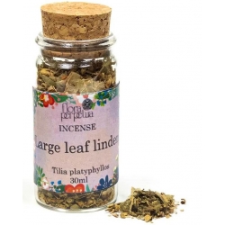 Large leaf linden incense herb