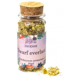 Dwarf everlast incense herb