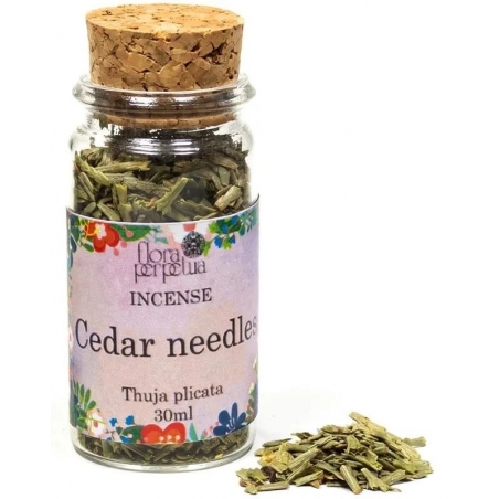Cedar needles wierookkruid