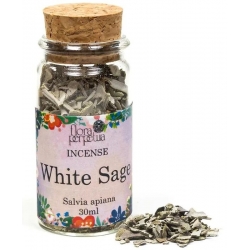 White Sage incense herb