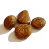 Snakes Jasper tumbled stone 15-20mm