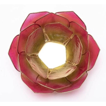 Lotus mood light Pink/Green