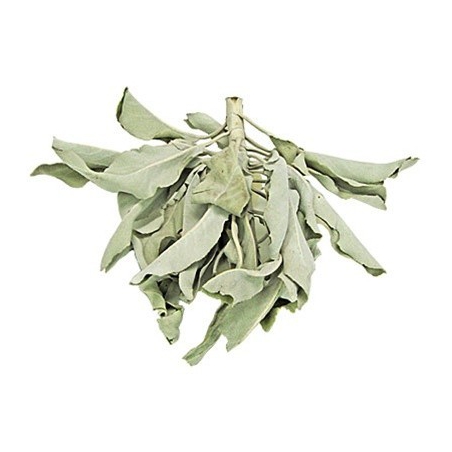 Californian White Sage (250 grams)