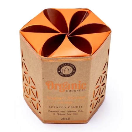 Orange soy wax candle Organic Goodness