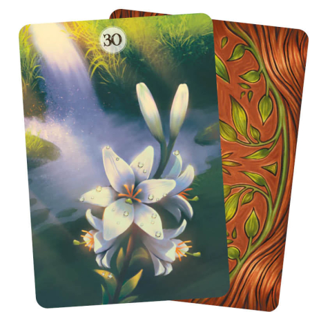 Herbs and Plants Lenormand Oracle - Floreana Nativo