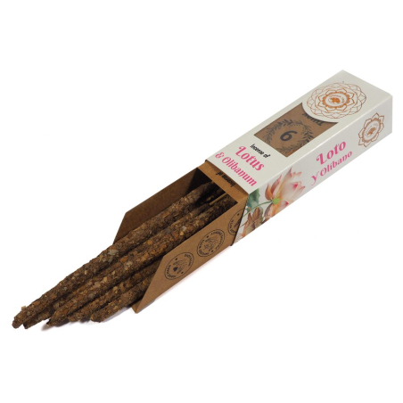 Lotus & Olibanum Botanical Incense - Green Tree