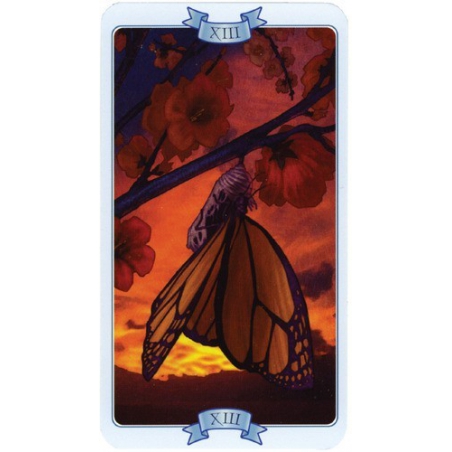 Law of Attraction Tarot (Lo Scarabeo)