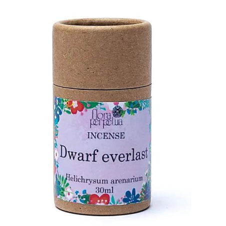 Dwarf everlast incense herb