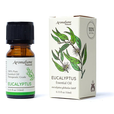 Eukalyptus Ätherisches Öl 10ml Aromafume