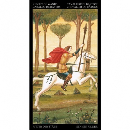 Goldener Botticelli Tarot mit Golddruck (NL)