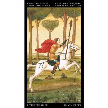 Tarot Botticelli doré avec impression en or (NL)