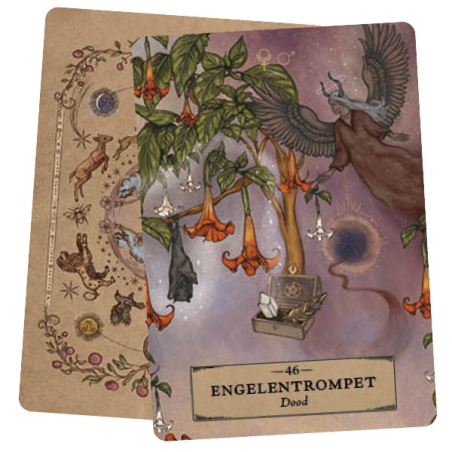 Het Kruiden Astrologie Orakel - Adriana Ayales