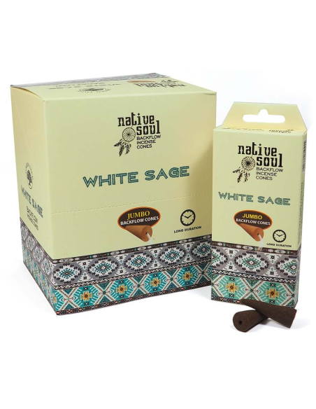White Sage backflow incense cones - Native Soul