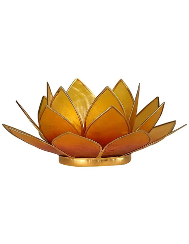 Lotus Mood Light Orange/Gelb 2-farbig 12047