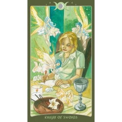 The book of Shadows tarot Volume 2 as below - Barbara Moore 2