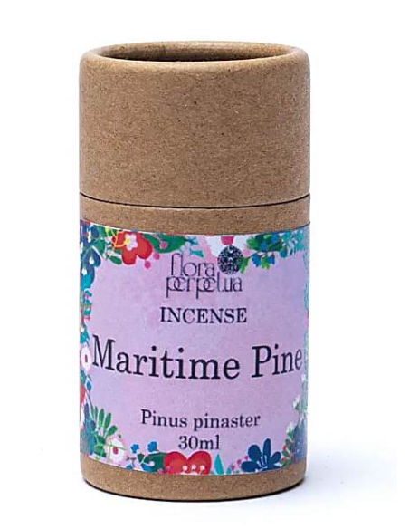 Maritime Pine incense herb