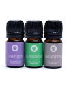 Breath Essential Oil Set - Song of India