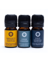 Wellness Essential Oil Set