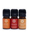 Citrus Blast essentiële olie set - Song of India