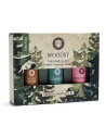 Woodsy Essential Oil Set - Song of India