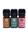 Woodsy Essential Oil Set - Song of India