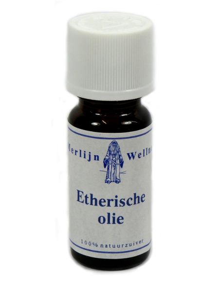 Orange essential oil 10ml - Merlijn Wellness
