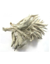 100 grams Californian White Sage
