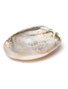 Coquillage en nacre avec perles 5955