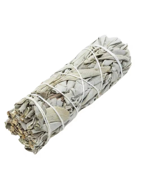 Weißer Salbei Smudge stick 10x3cm 5269