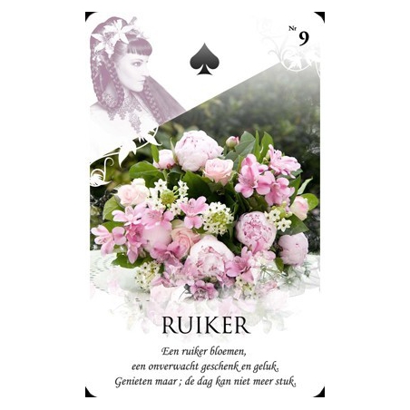 Le jeu de cartes panier Lenor de Viona (NL)