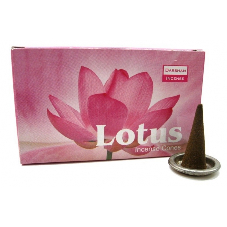 Lotus cone incense (Darshan)