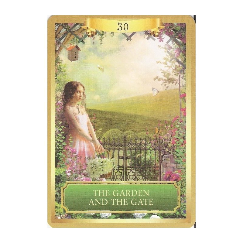 Energy Oracle Cards: Taylor, Sandra Anne: 9781401940447: : Books