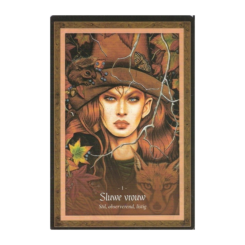 La sagesse du royaume des fées - Lucy Cavendish (NL)