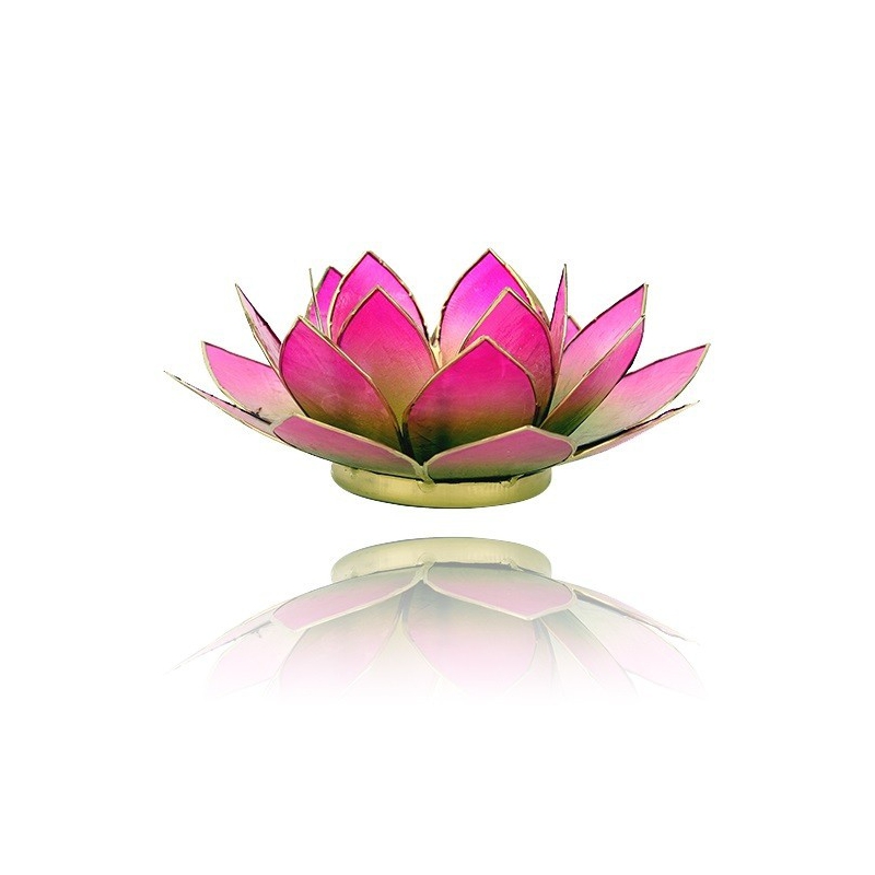 Lotus Kaarsenbrander - groen/roze 2-kleurig
