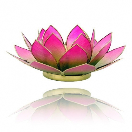 Lotus Kaarsenbrander - groen/roze 2-kleurig