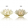 Lotus mood light - Pearl