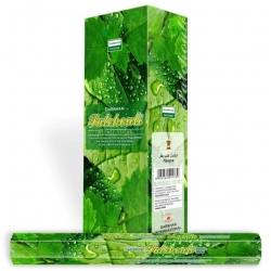 Darshan Patchouli incense